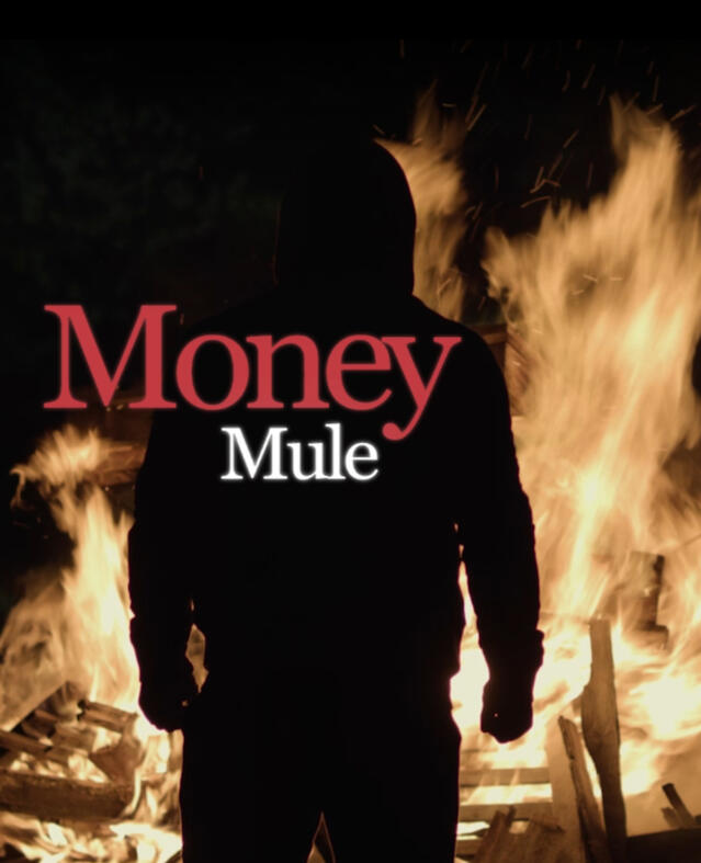 Money Mule Money Mule